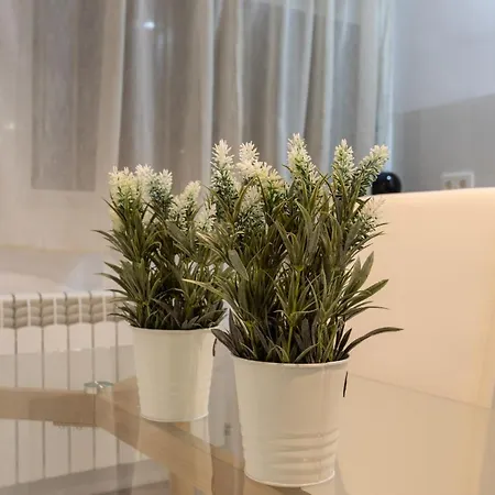 Appartement Center Deluxe Ii Granada